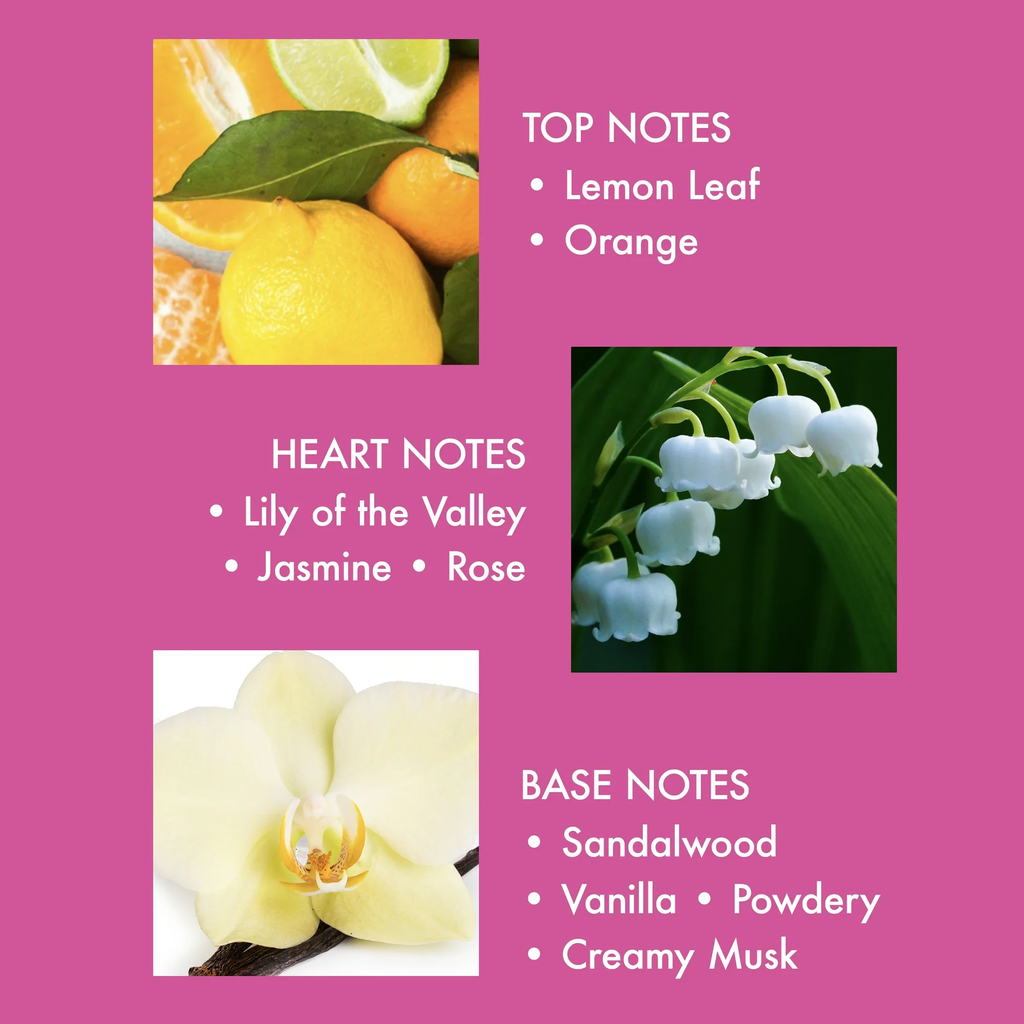 Dana Love's Baby Soft Whisper Soft Mist, Perfume Spray 2.5 fl oz - Image 3