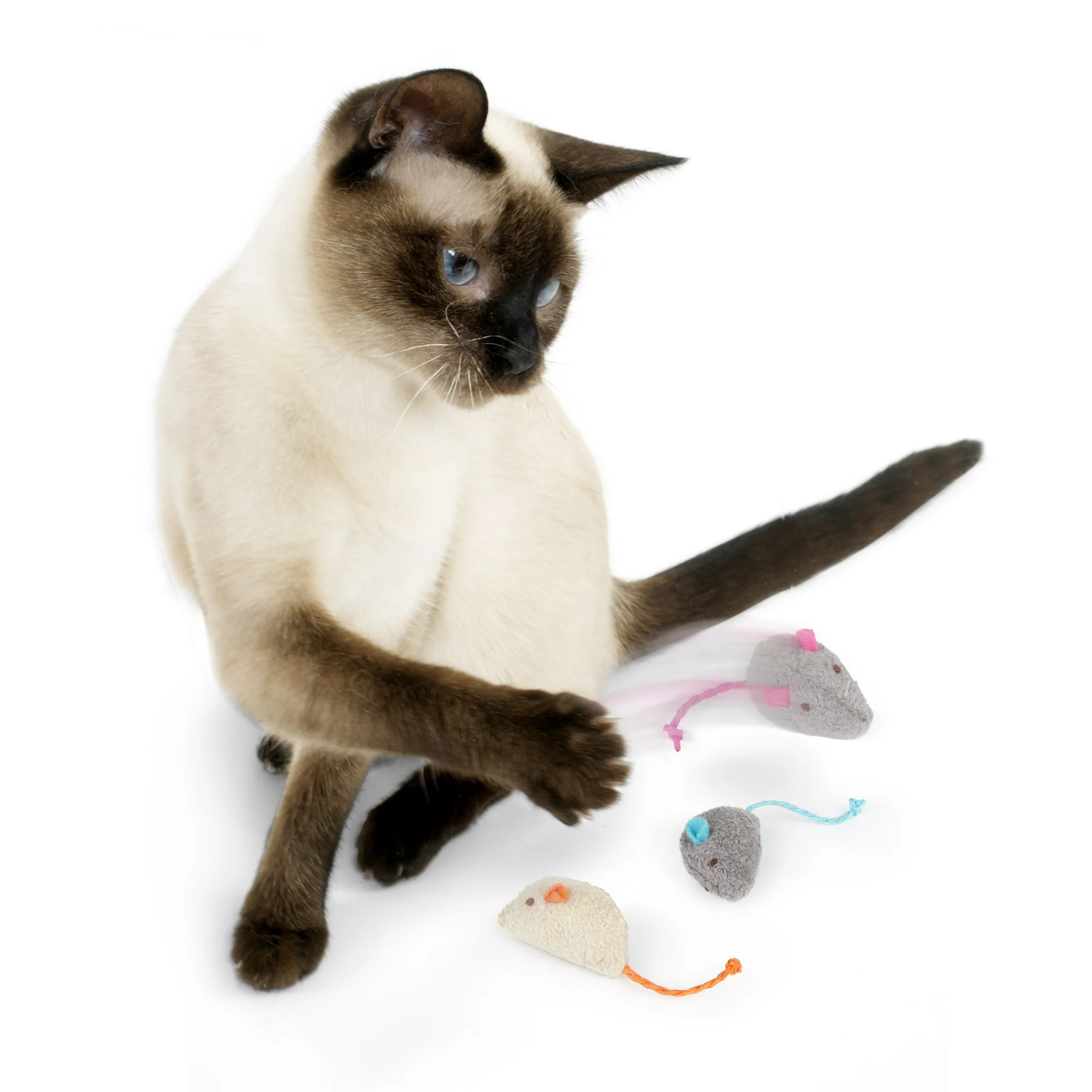 SmartyKat Skitter Critters Value Pack, Soft Plush Catnip Filled Mice Cat Toys, 10 Count - Image 4